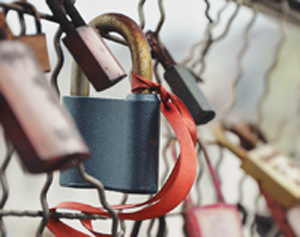 A photo by Sylwia Bartyzel. unsplash.com/photos/7_cSSarxoAA